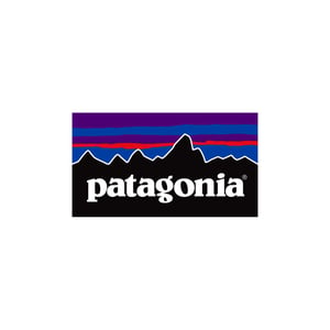 Patagonia Logo Reduced